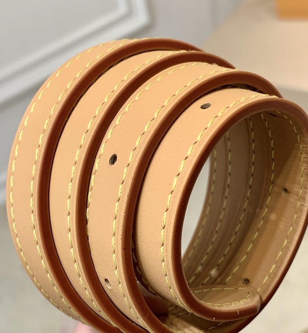 1:1 Replica Louis Vuitton LV Blois Monogram Canvas Luxury Bag For Women - 9.8in/25cm  M51221