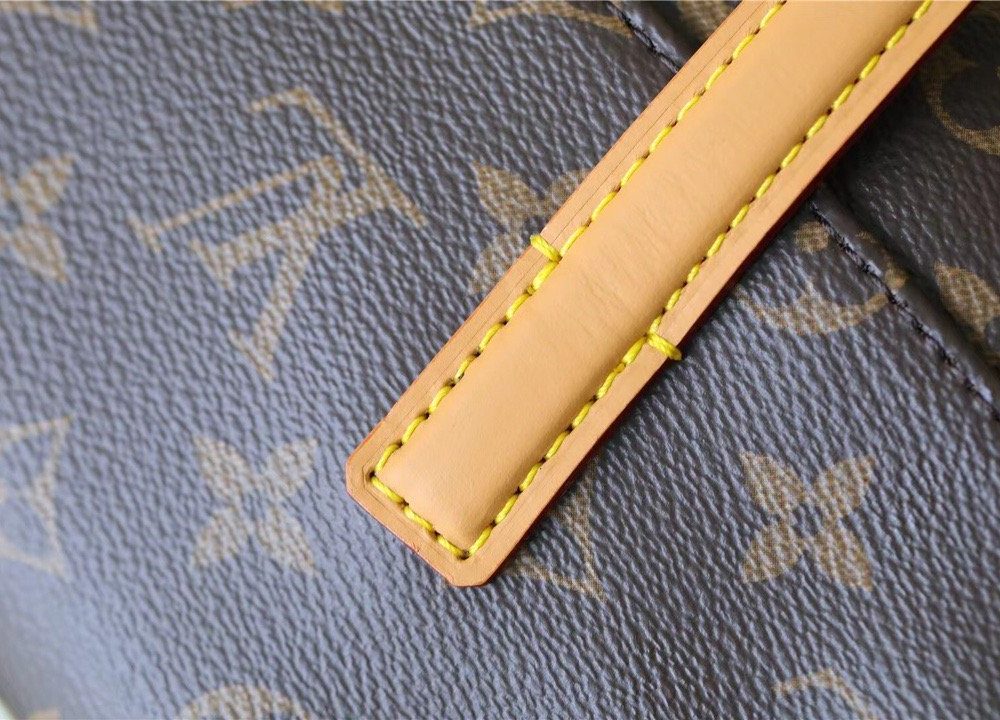 1:1 Replica Louis Vuitton LV Sonatine Monogram Canvas Luxury Bag For Women M51902 - 11.4in/29cm