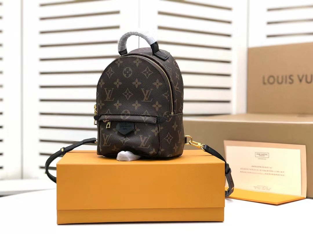 1:1 Replica Louis Vuitton LV Palm Springs Mini Monogram Canvas Luxury Bag For Women M44873 - 6.7in/17cm - Image 2