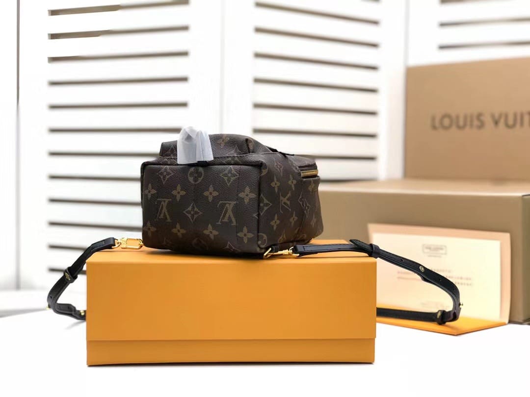 1:1 Replica Louis Vuitton LV Palm Springs Mini Monogram Canvas Luxury Bag For Women M44873 - 6.7in/17cm - Image 5