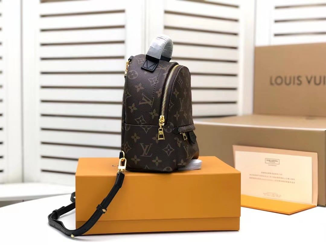 1:1 Replica Louis Vuitton LV Palm Springs Mini Monogram Canvas Luxury Bag For Women M44873 - 6.7in/17cm - Image 4