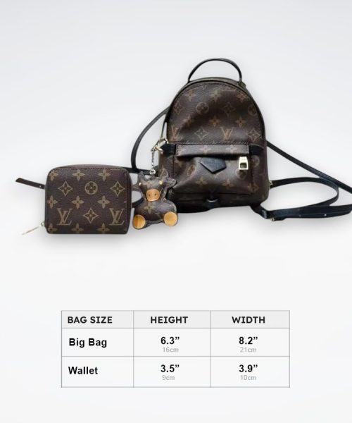 DBS-LC382 - Palm Springs Handbag Deal