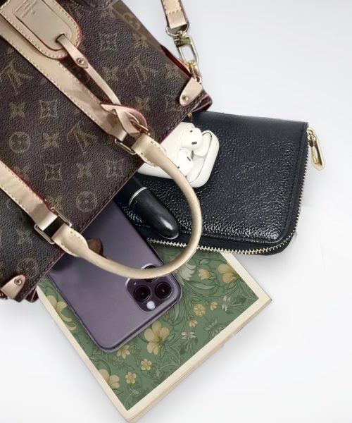 DBS-LC445 - Soufflot BB Handbag Deal