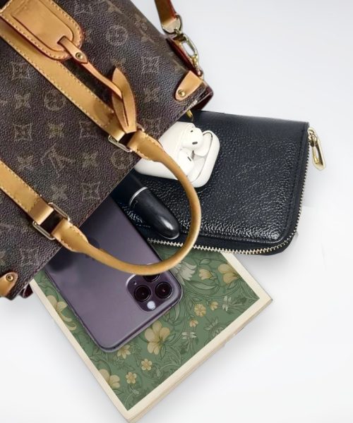 DBS-LC446 - Soufflot BB Handbag Deal