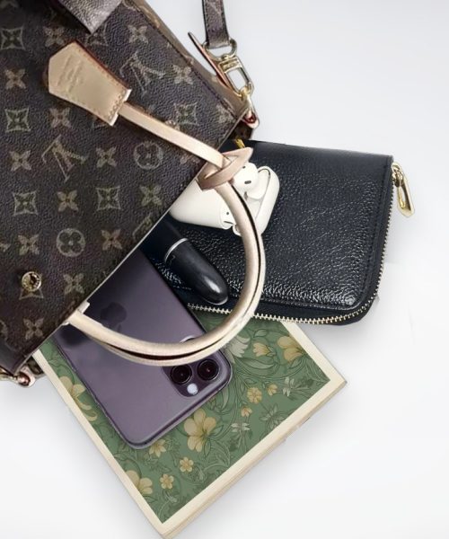 DBS-LC448 - Montaigne BB Handbag Deal