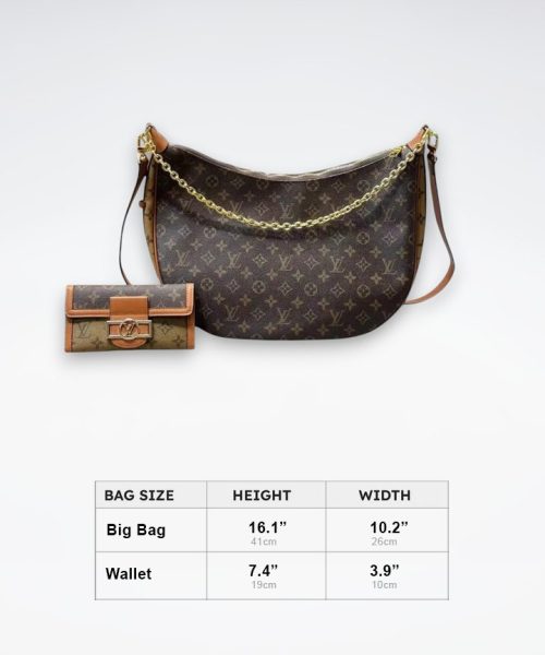 DBS-LC459 - Loop Hobo Handbag Deal