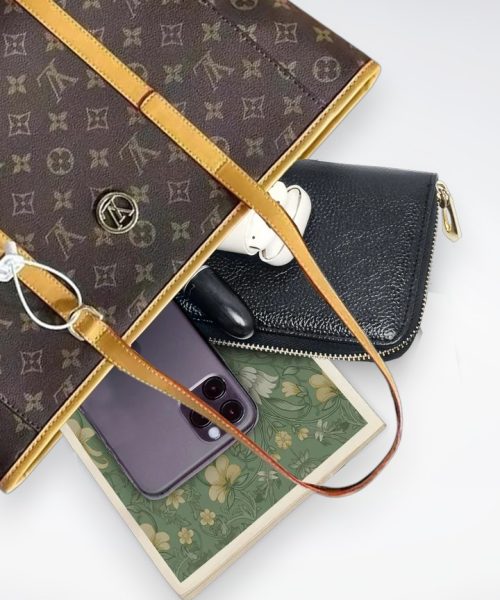 DBS-LC470 - Neverfull PM Handbag Deal