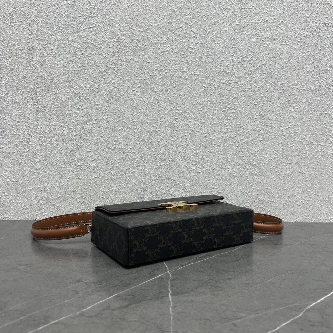 1:1 Replica Celine Box Triomphe In Triomphe Canvas Tan For Women 9in/22cm 199992CUZ.04LU - Image 2