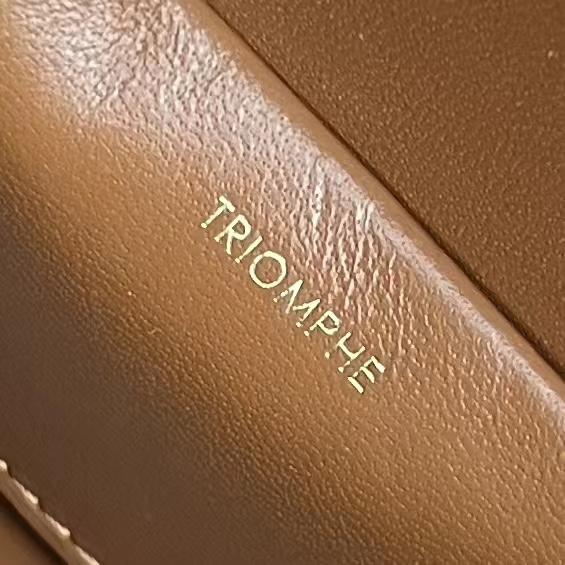 1:1 Replica Celine Box Triomphe In Triomphe Canvas Tan For Women 9in/22cm 199992CUZ.04LU - Image 5