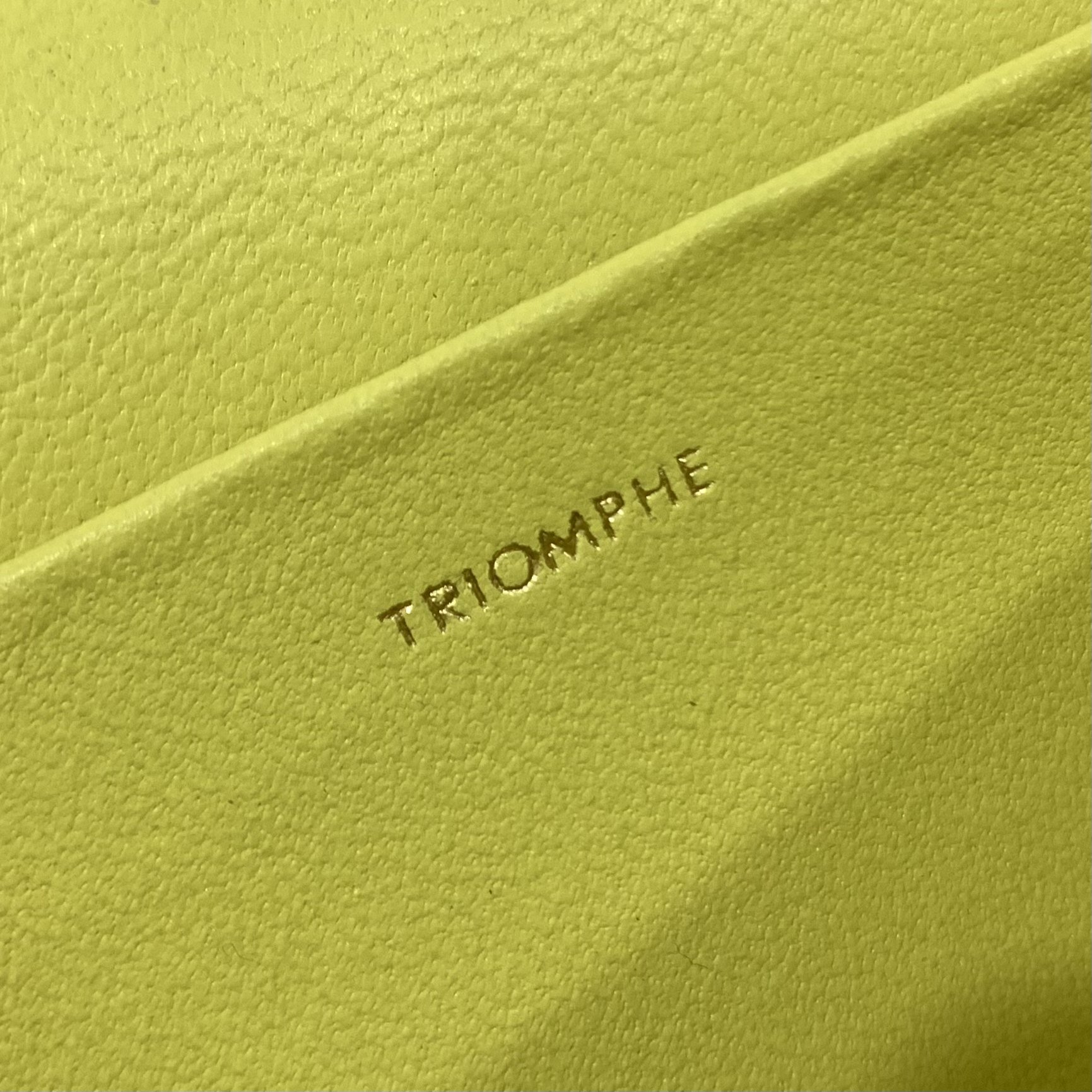 1:1 Replica Celine Chain Shoulder Bag Cuir Triomphe Green For Women 7.9in/20cm - Image 6