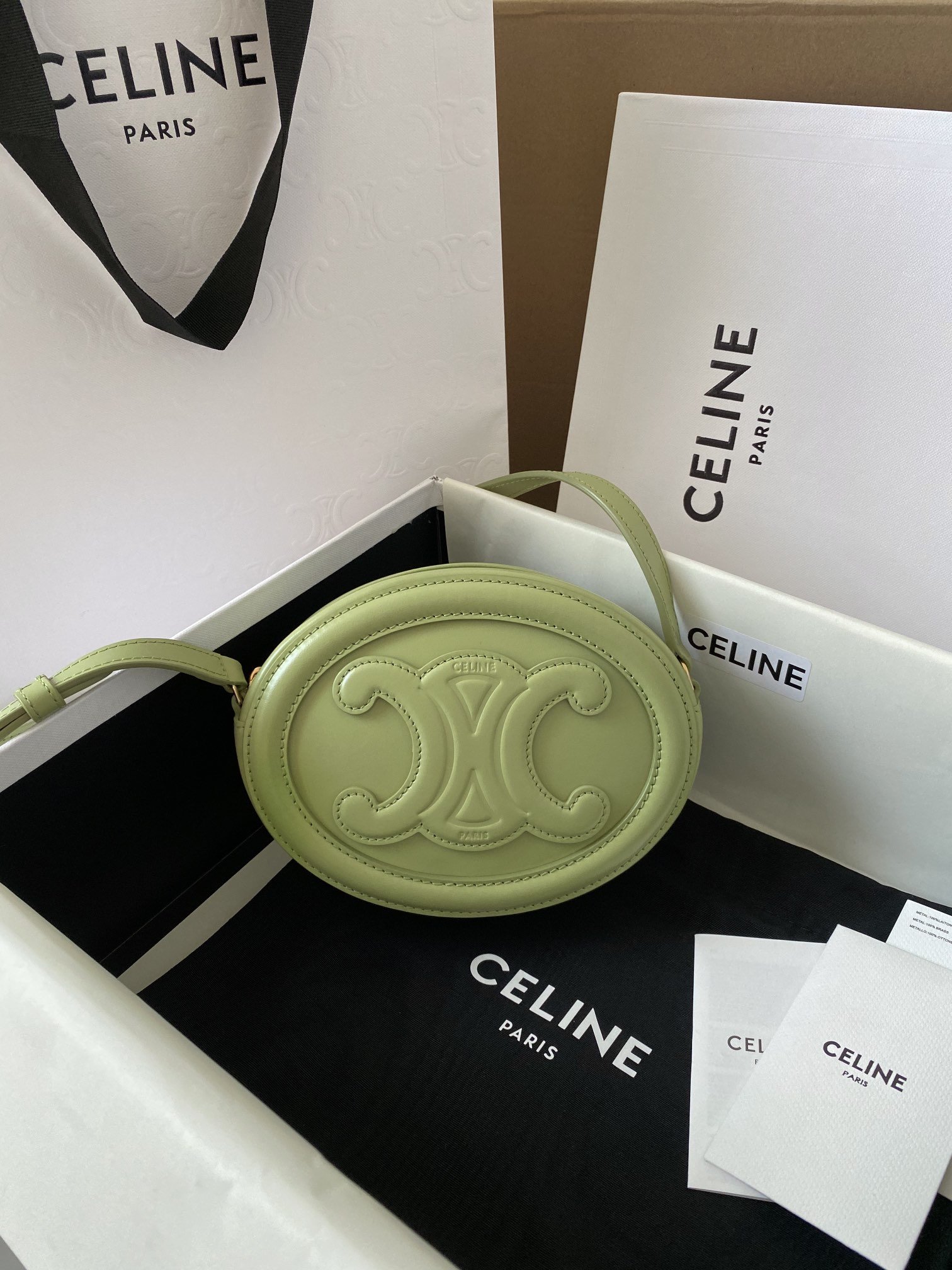 1:1 Replica Celine Crossbody Oval Purse Cuir Triomphe Mint Green For Women 6in/16cm - Image 5