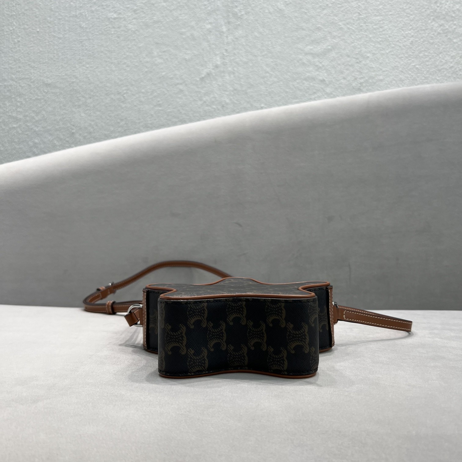 1:1 Replica Celine Small Etoile In Triomphe Canvas Brown For Women 7in/18cm 198762BZJ.04LI - Image 5