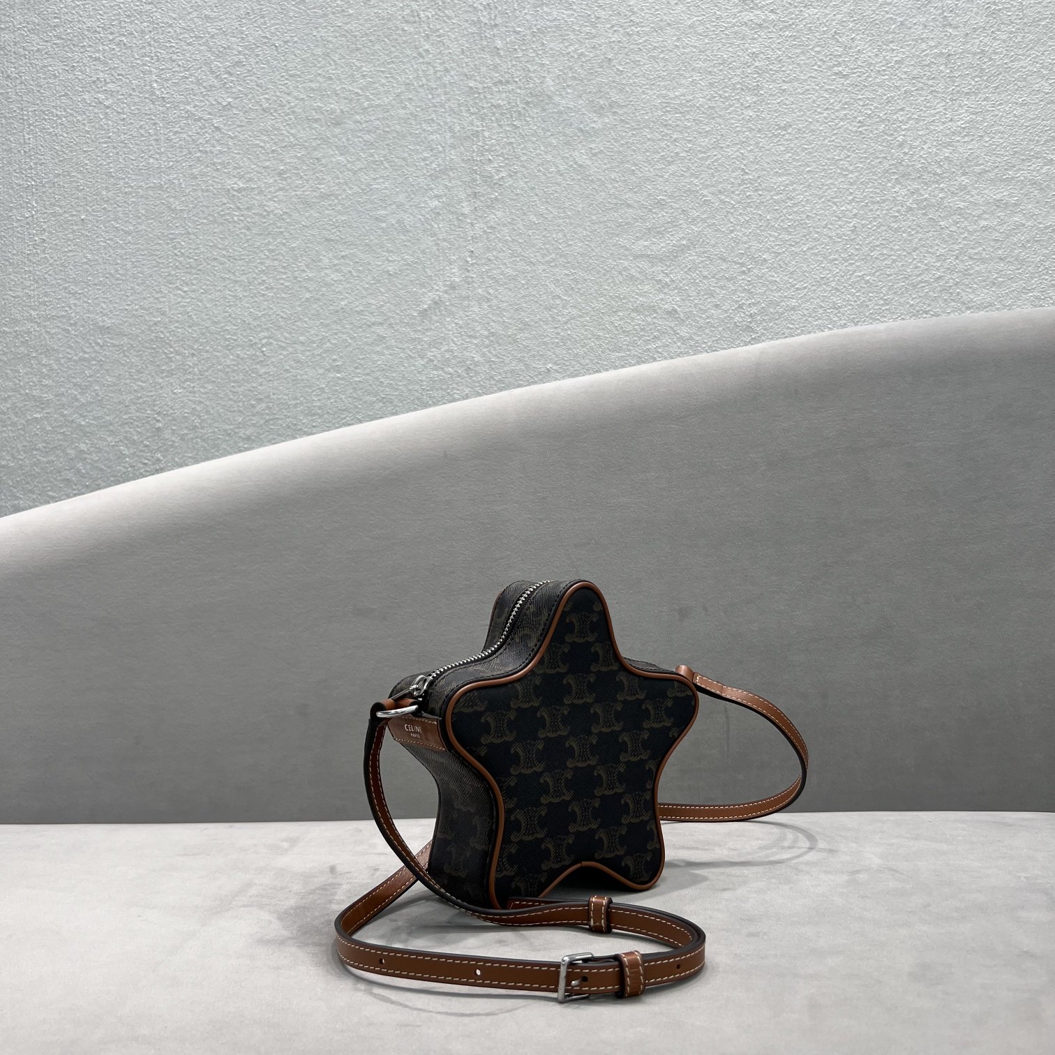 1:1 Replica Celine Small Etoile In Triomphe Canvas Brown For Women 7in/18cm 198762BZJ.04LI - Image 8