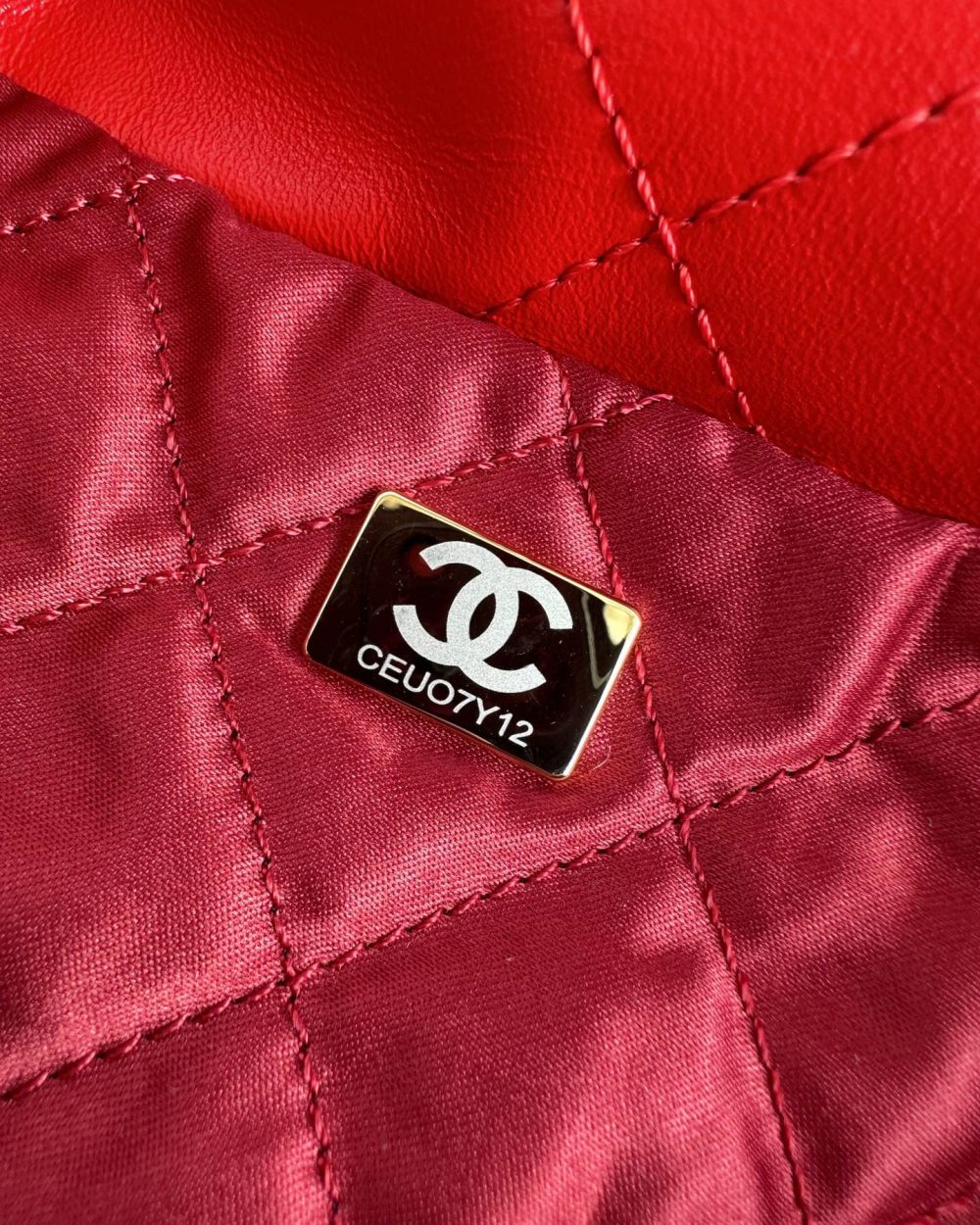 [REP 1:1] Chanel 22 Handbag Red/Pink For Women 39cm / 15.3in AS3261