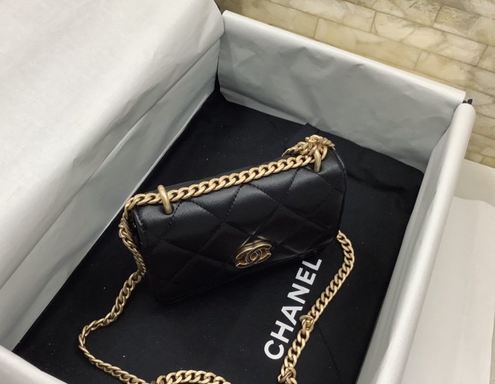 [REP 1:1] Chanel Spring And Summer 22C Black For Women, Women's Bags 6.1in/15.5cm