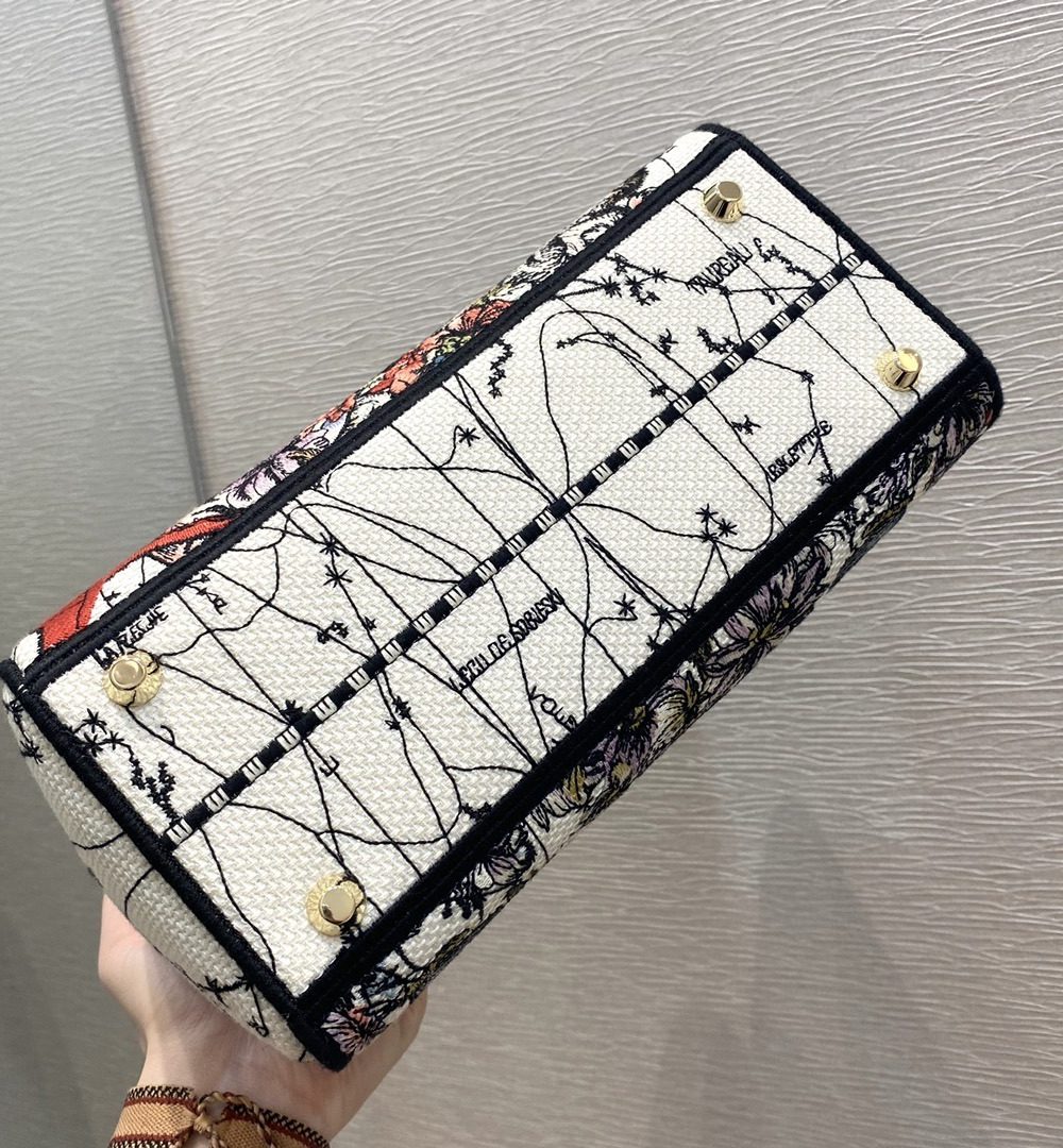 1:1 Replica Christian Dior Medium Lady D-Lite Bag Latte Multicolor Dior Constellation Embroidery, Latte, For Women Women's Handbags, Crossbody Bags, 24cm CD M0565ORHP_M941