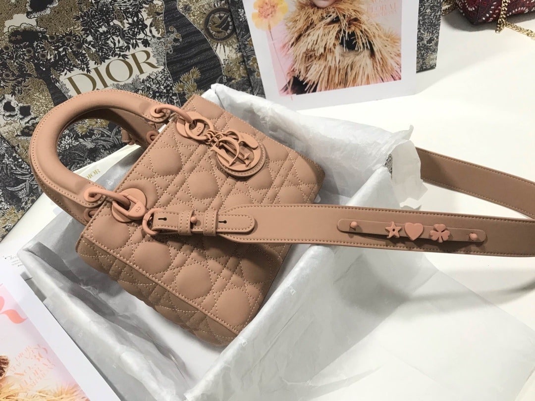 1:1 Replica Christian Dior Smal Lady Dior My ABCDIOR Bag Brown For Women 8in/20cm CD