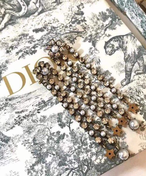 Dior Earrings