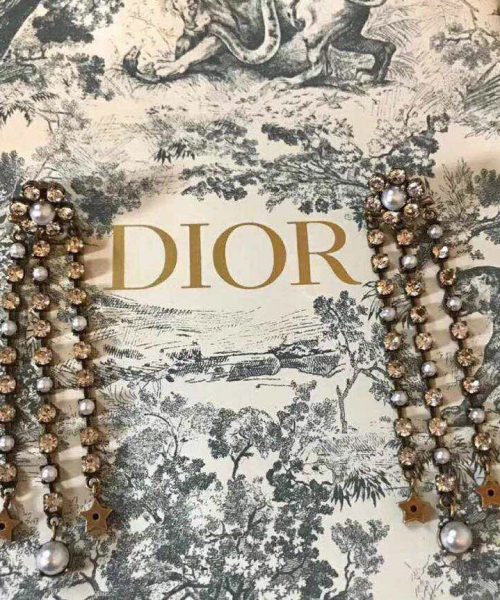 Dior Earrings