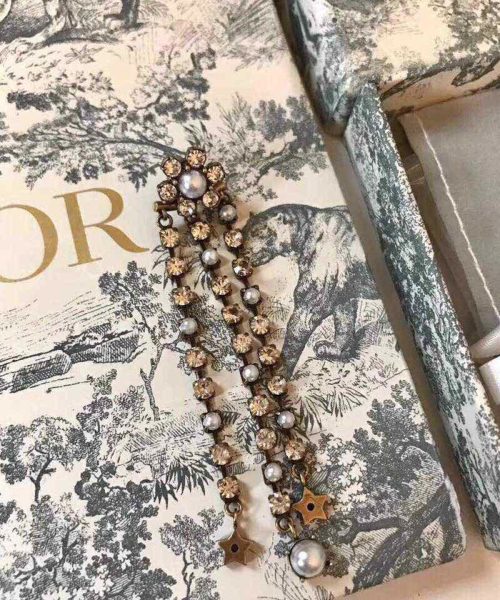 Dior Earrings