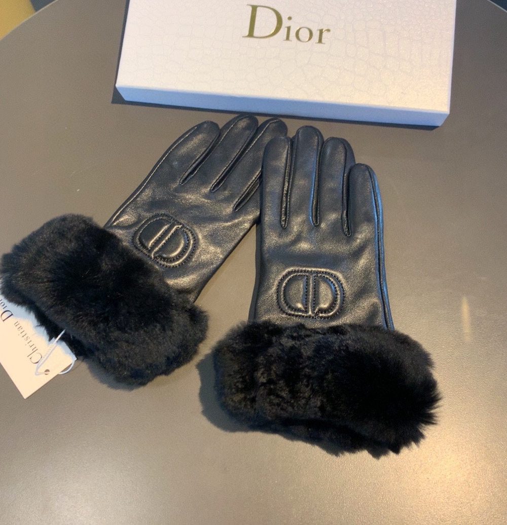 Dior Gloves In Black