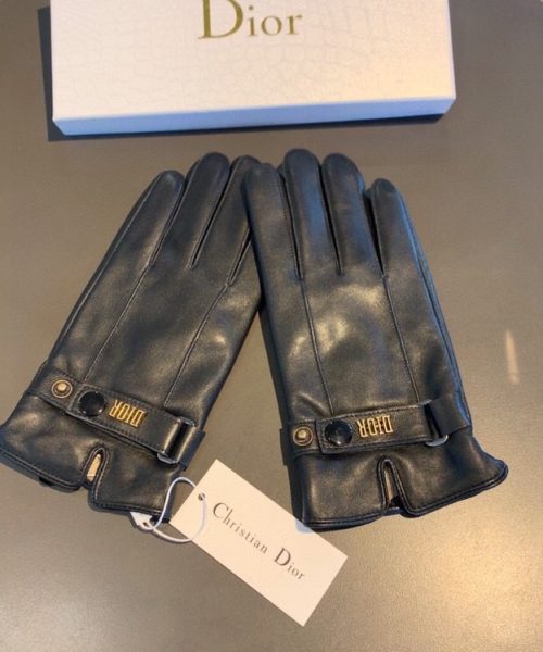 Dior Gloves In Black