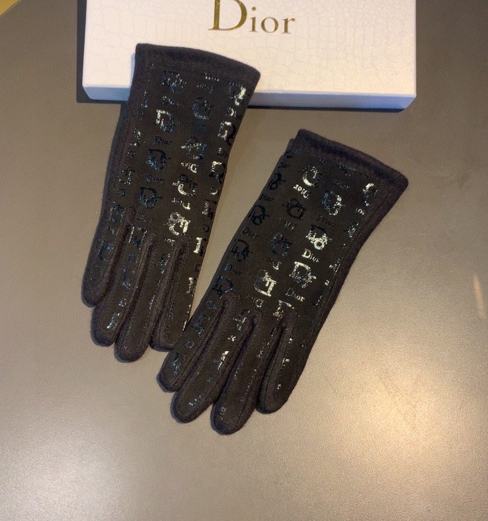 Dior Gloves In Black