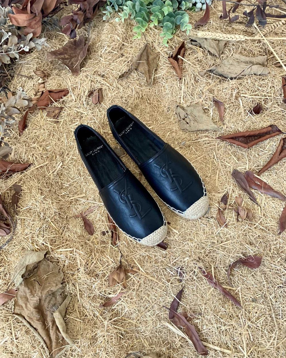 Saint Laurent Women's Ysl Embroidered Espadrilles Black For Women YSL 458573B34001000