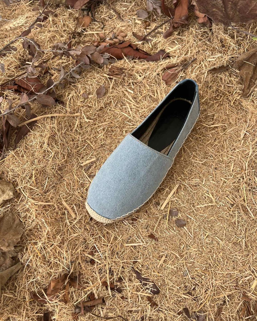 Saint Laurent Women's Ysl Embroidered Espadrilles Blue For Women YSL