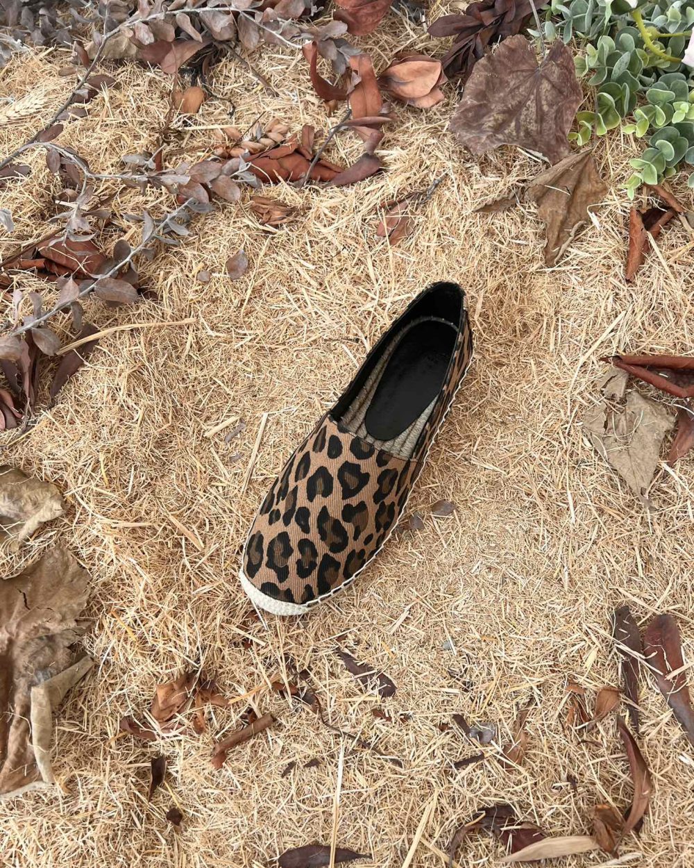 Saint Laurent Women's Ysl Embroidered Espadrilles Brown For Women YSL