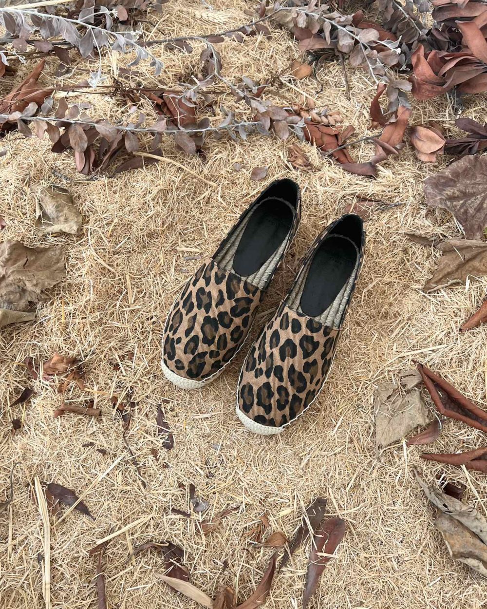 Saint Laurent Women's Ysl Embroidered Espadrilles Brown For Women YSL