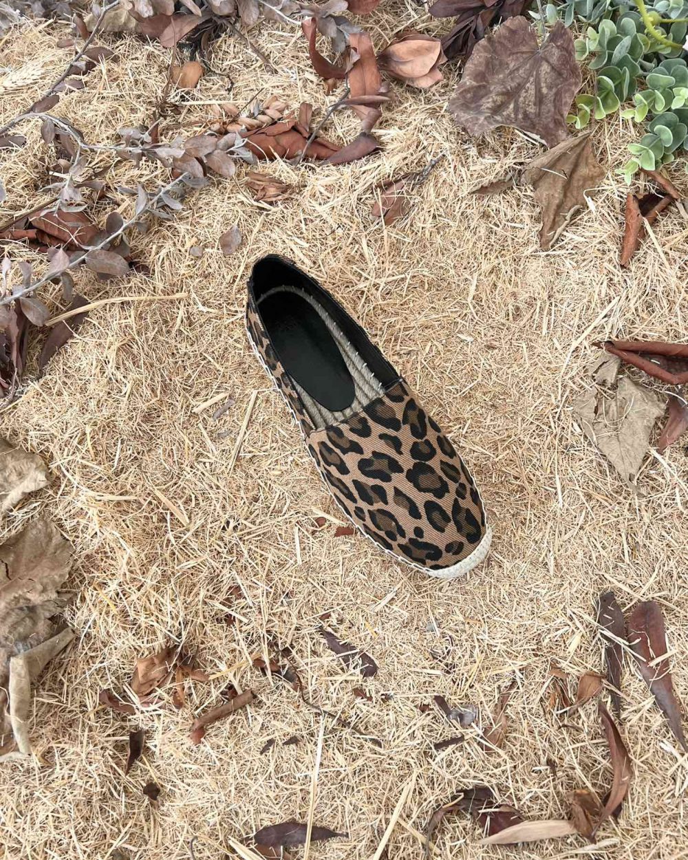 Saint Laurent Women's Ysl Embroidered Espadrilles Brown For Women YSL