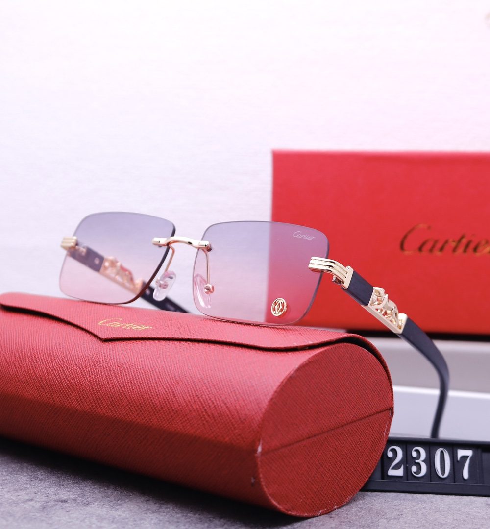 Catier Travel Sunglasses