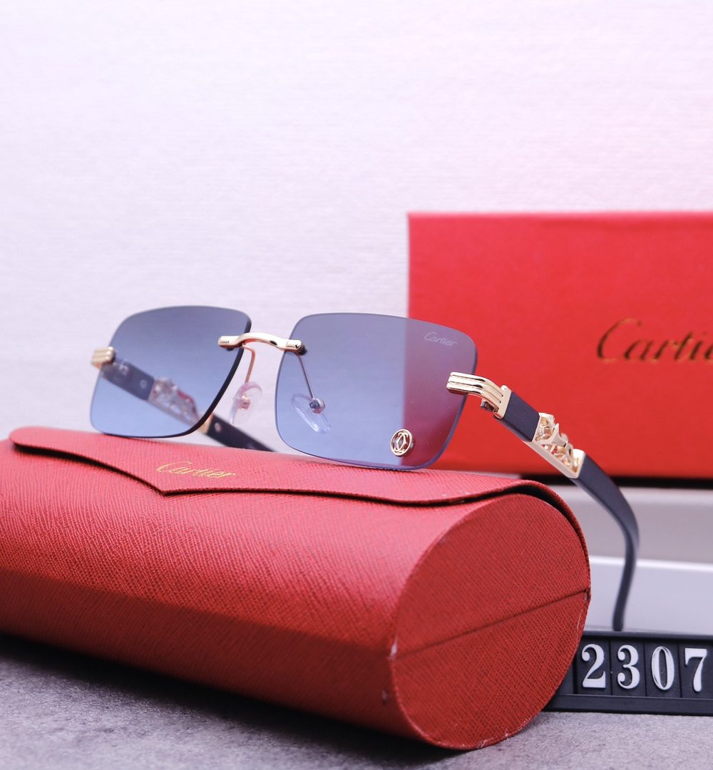 Catier Travel Sunglasses