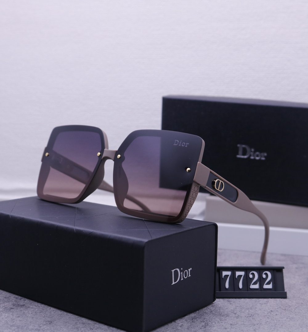 Dior Travel Sunglasses