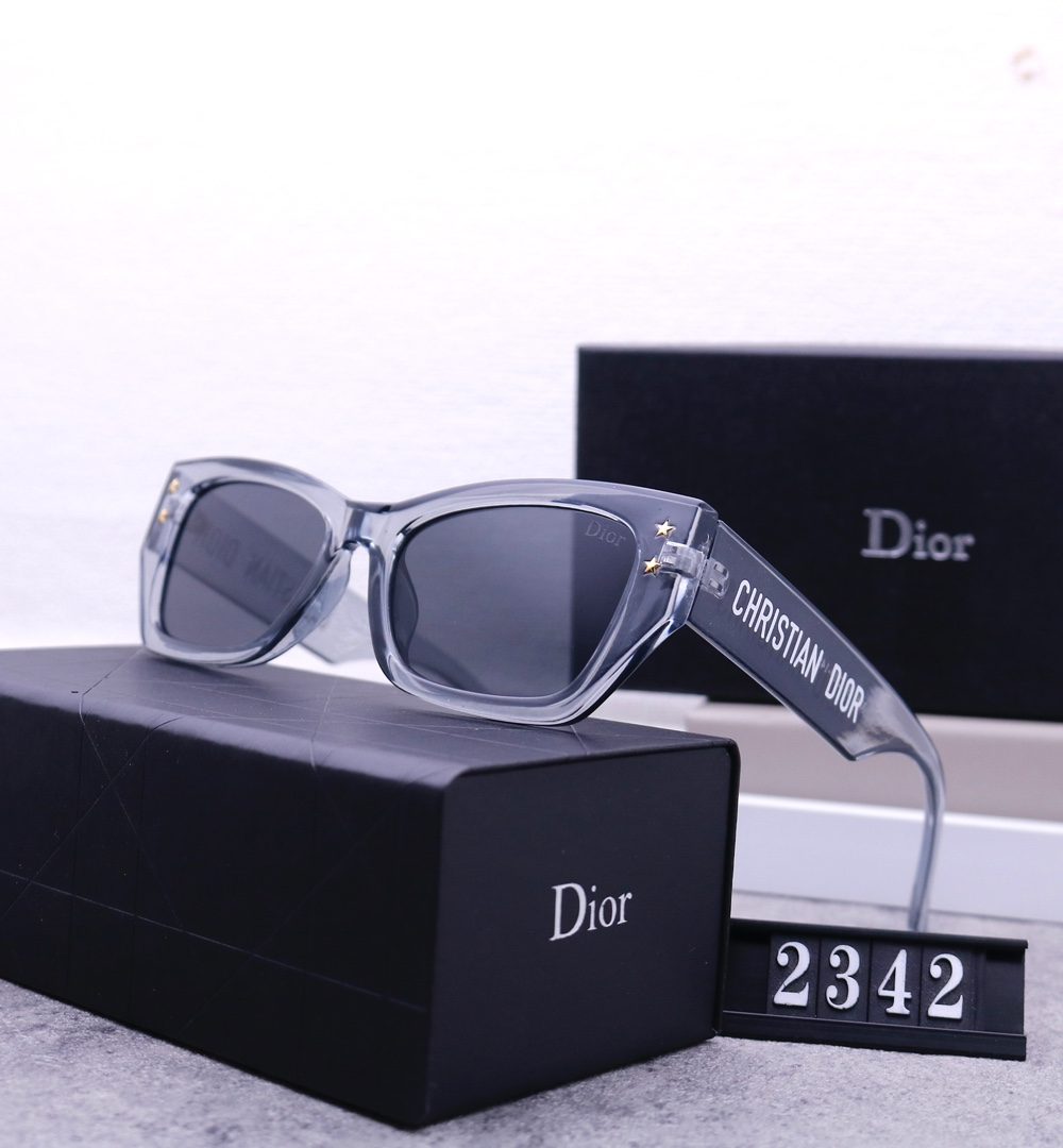Dior Travel Sunglasses