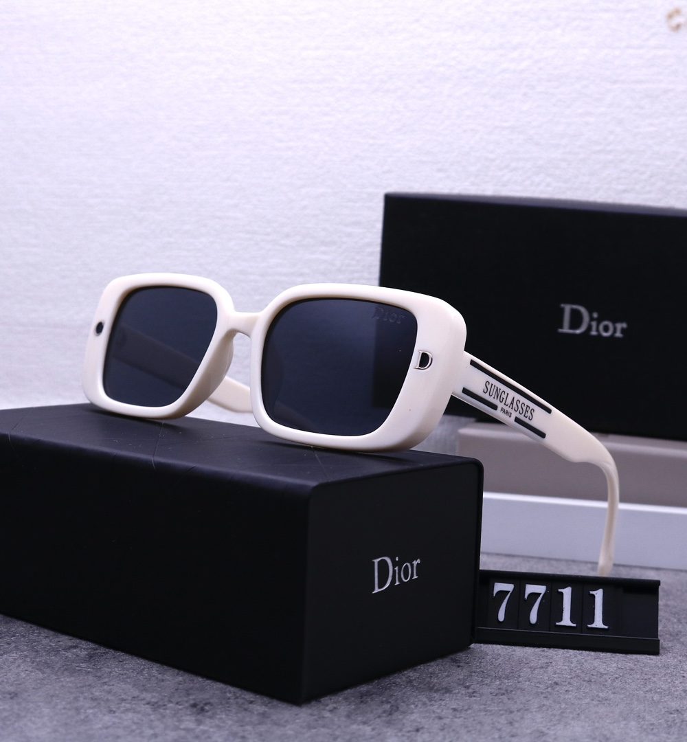 Dior Travel Sunglasses