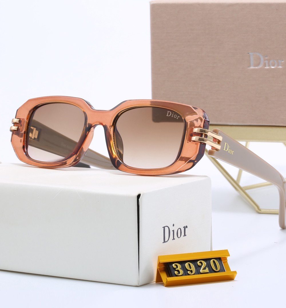 Dior Travel Sunglasses