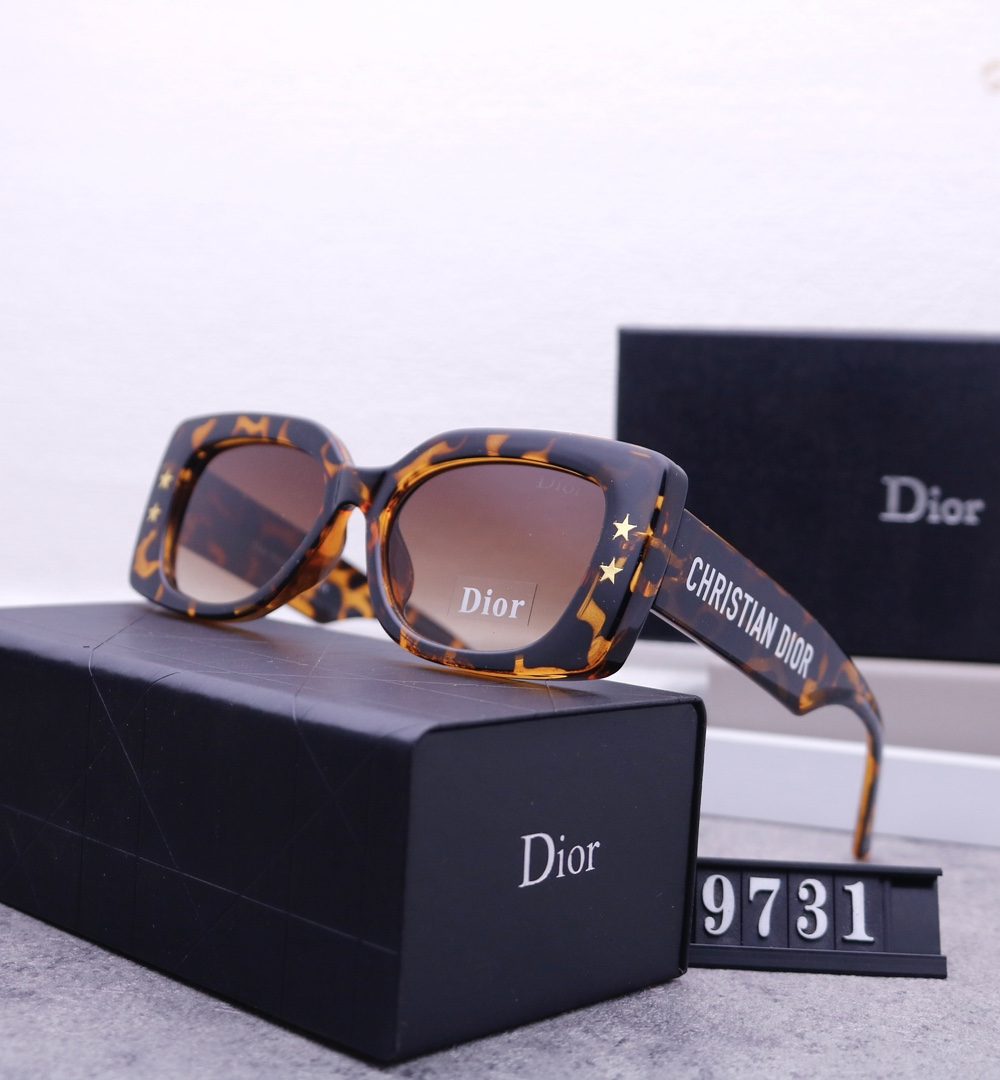Dior Travel Sunglasses