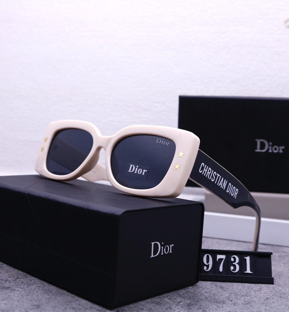 Dior Travel Sunglasses