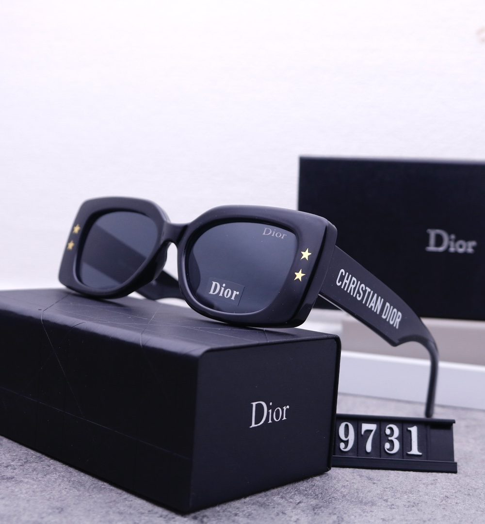 Dior Travel Sunglasses