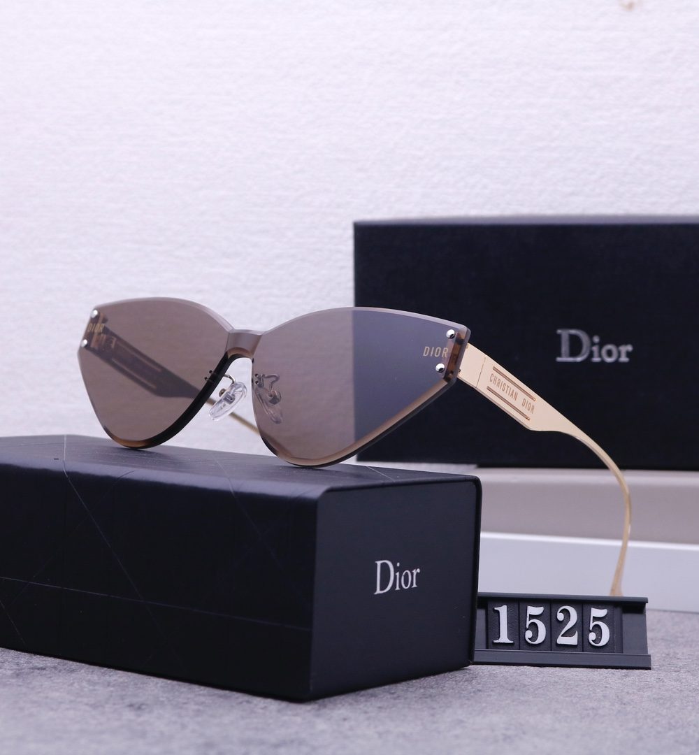 Dior Travel Sunglasses