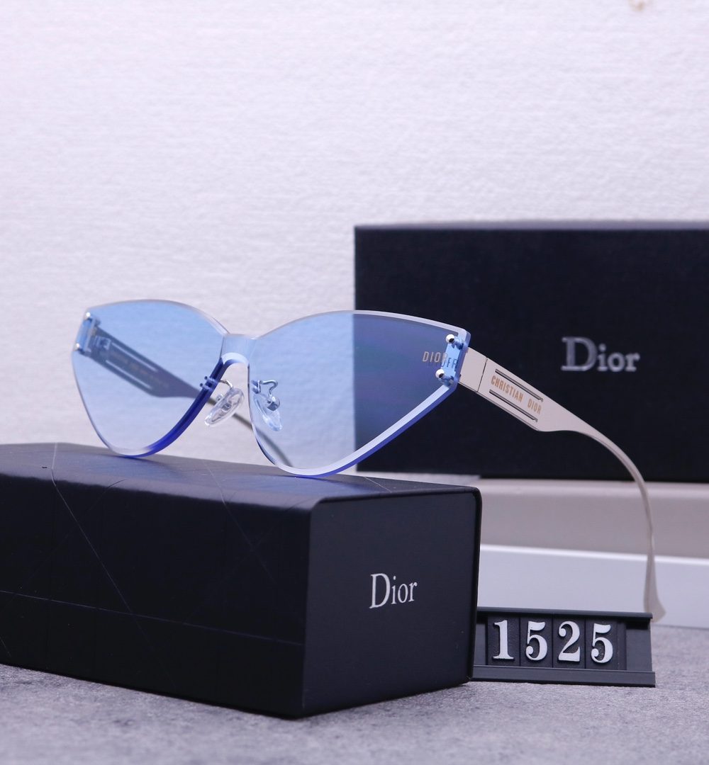 Dior Travel Sunglasses