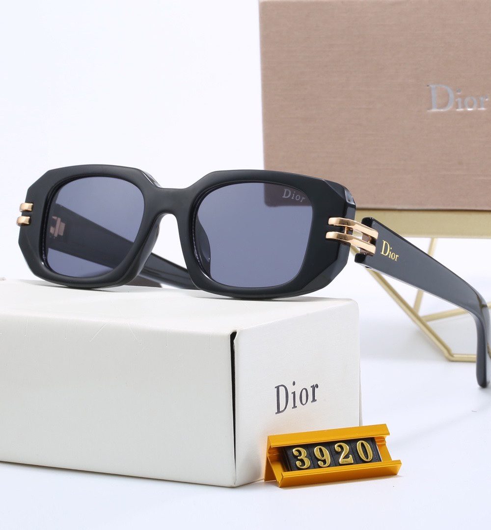 Dior Travel Sunglasses