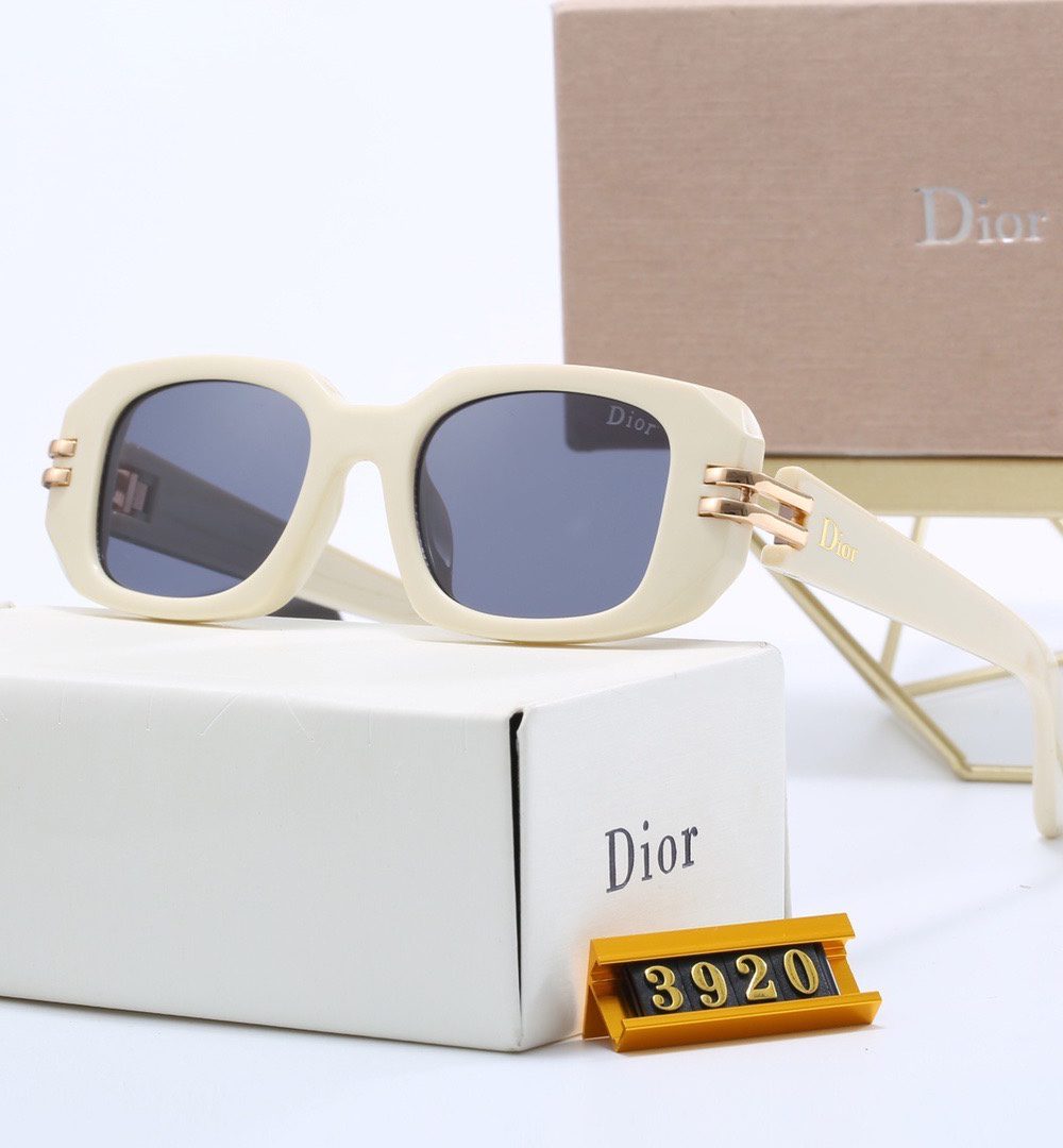 Dior Travel Sunglasses