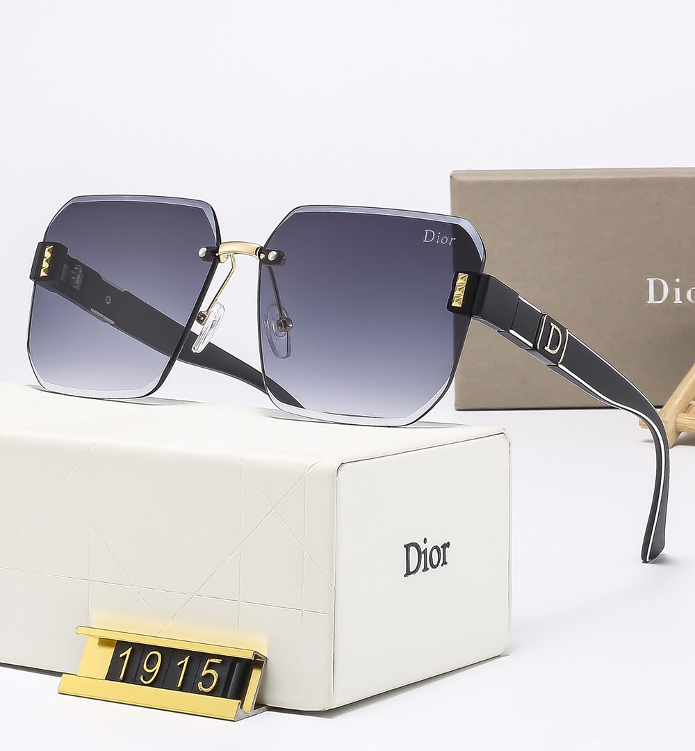 Dior Travel Sunglasses