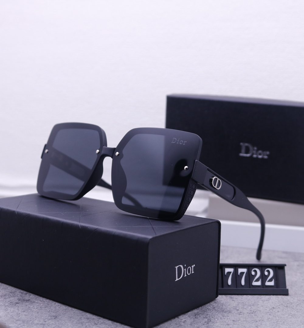Dior Travel Sunglasses