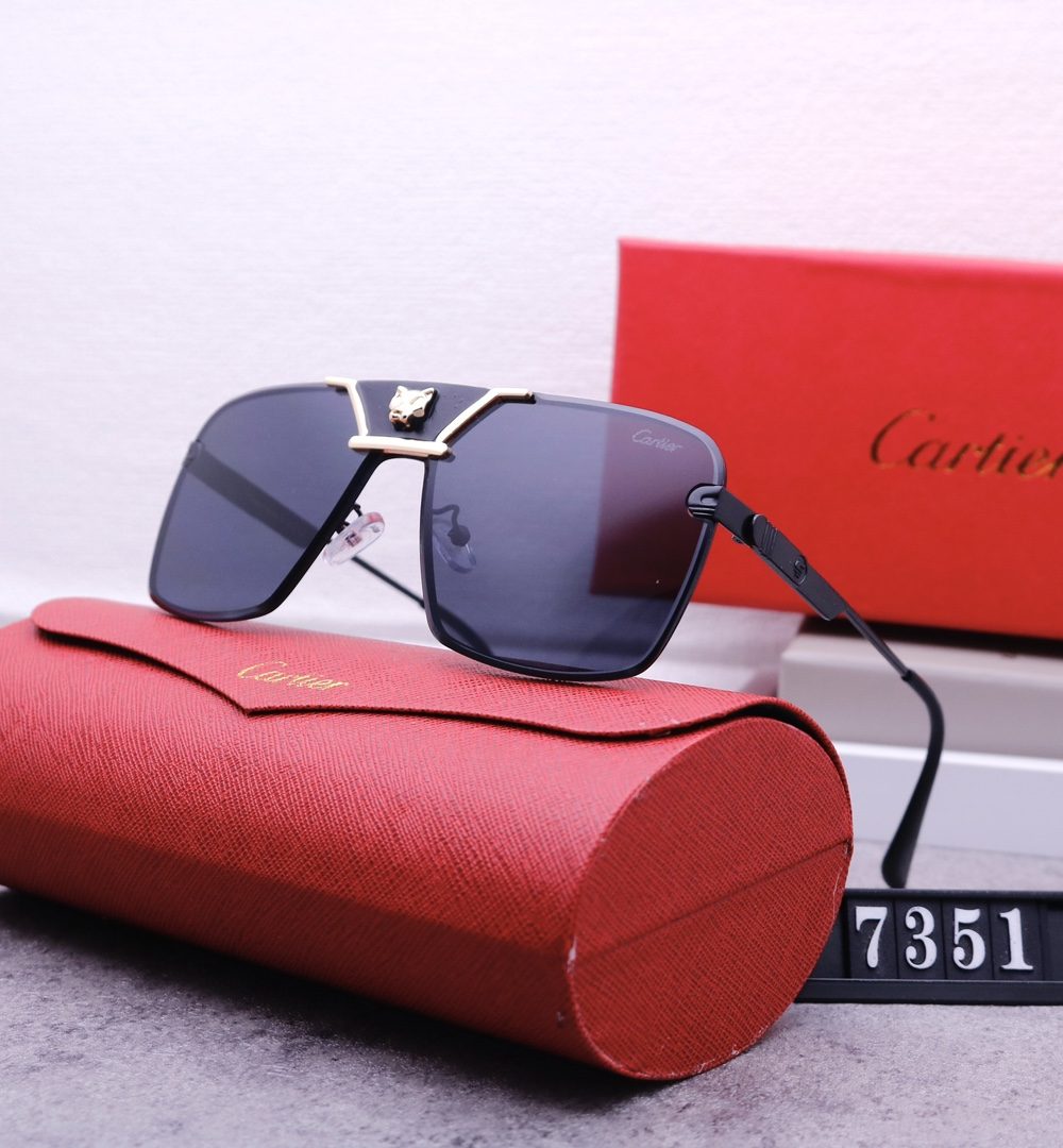 Catier Travel Sunglasses