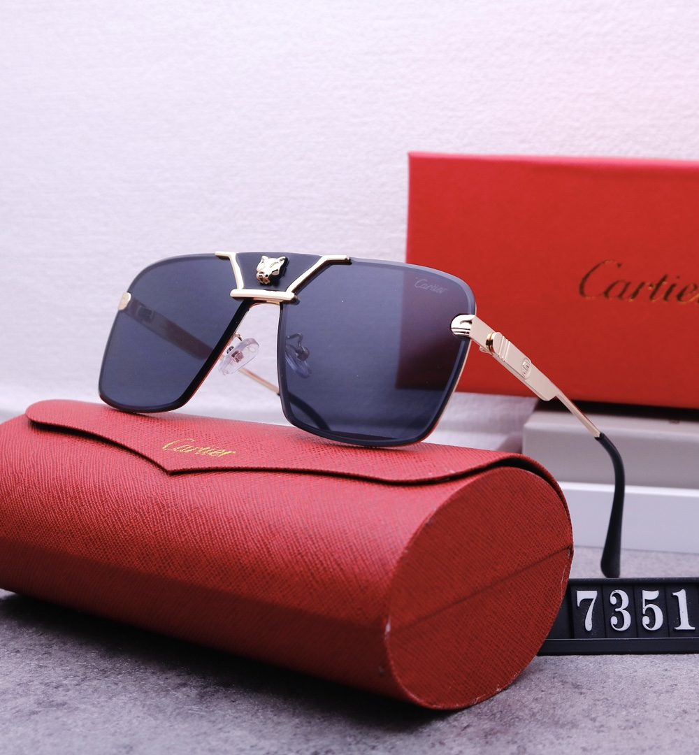 Catier Travel Sunglasses