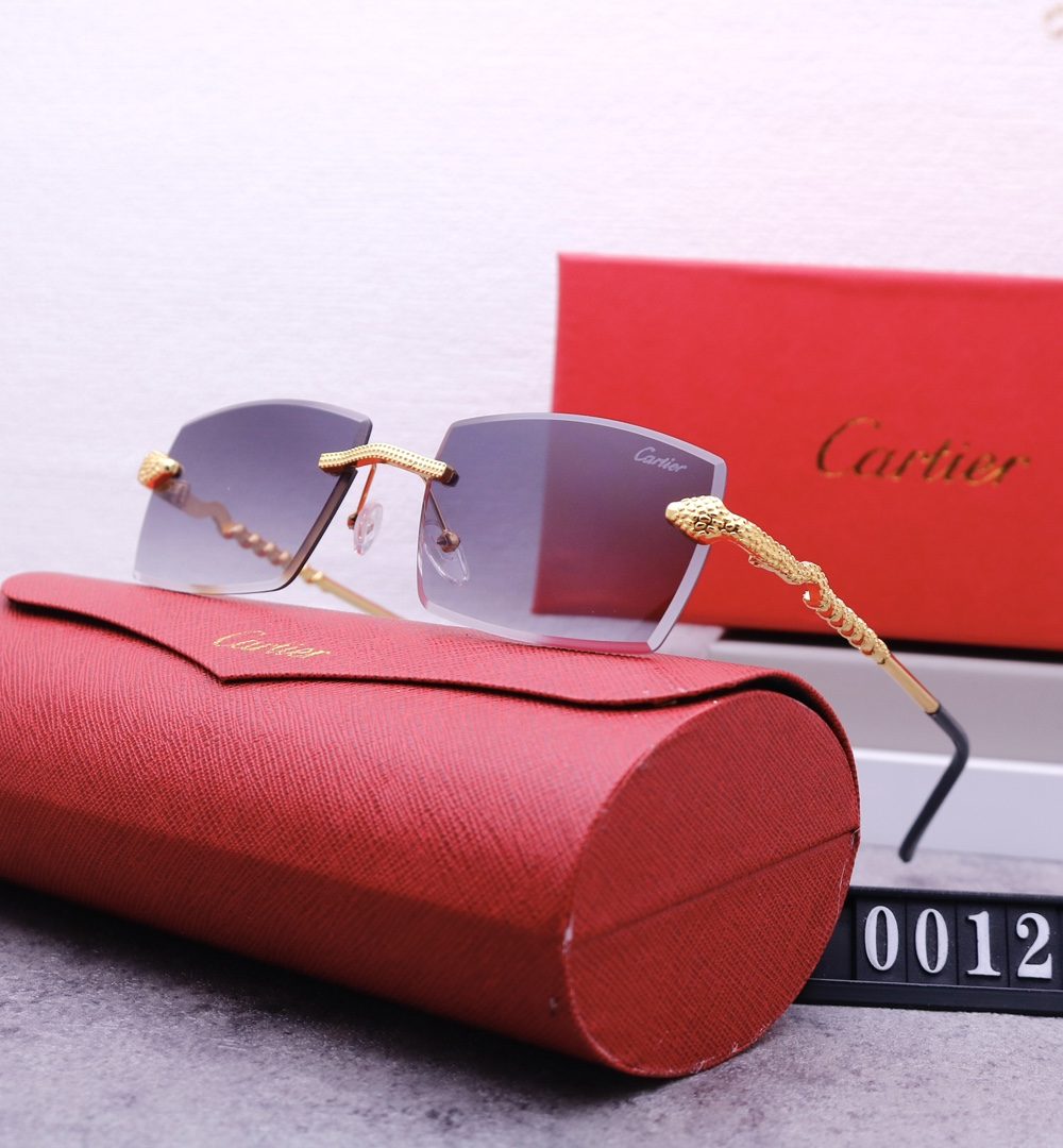 Catier Travel Sunglasses